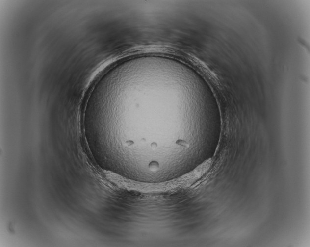 X0000096631174200802191149