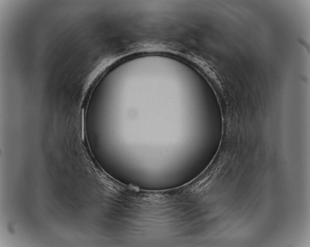 X0000096631175200802191149