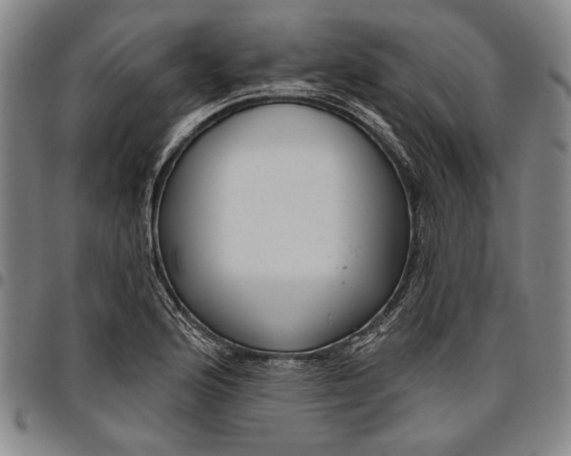 X0000096631176200802191149