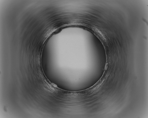 X0000096631177200802191149