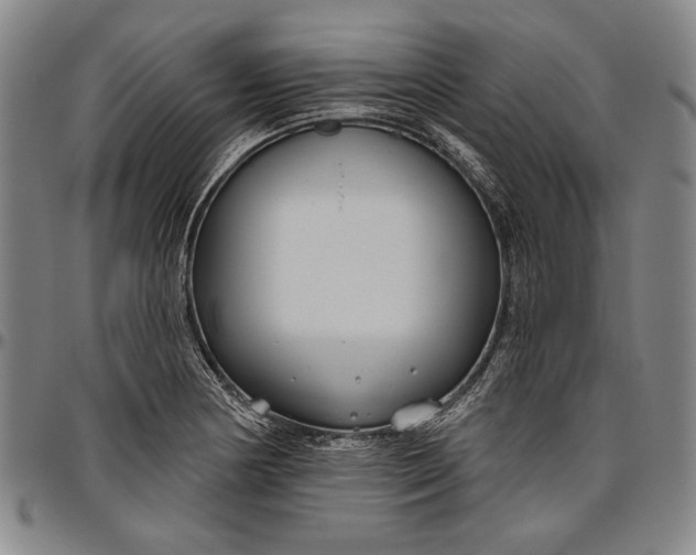 X0000096631178200802191149