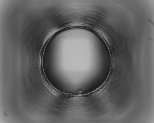 X0000096631179200802191149