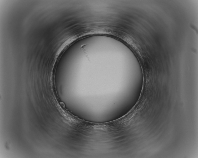 X0000096631181200802191149