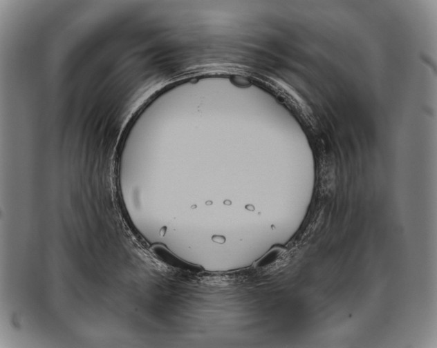 X0000096631182200802191149