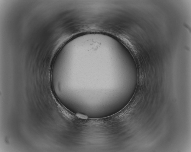 X0000096631183200802191149