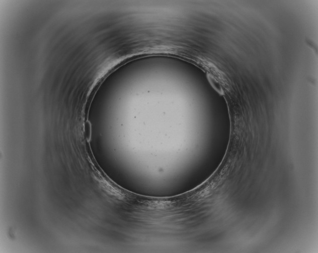 X0000096631184200802191149