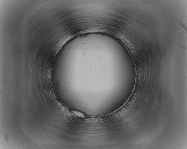 X0000096631185200802191149