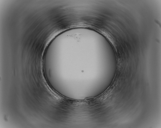 X0000096631187200802191149