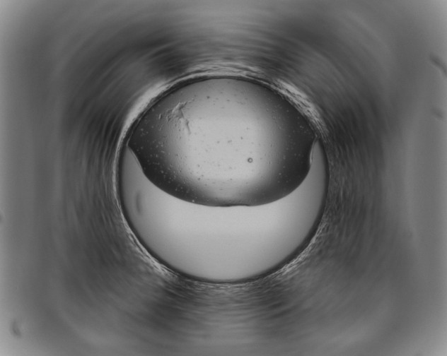 X0000096631188200802191149