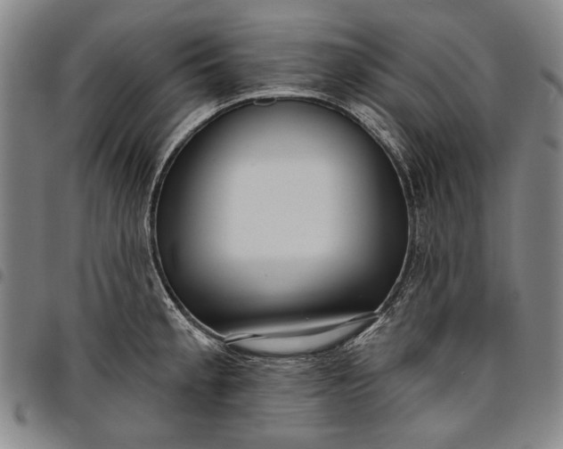 X0000096631189200802191149