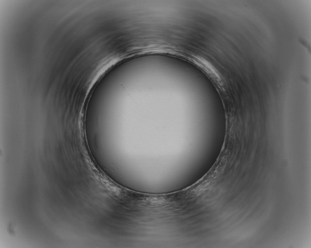 X0000096631190200802191149