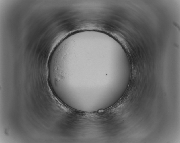 X0000096631191200802191149