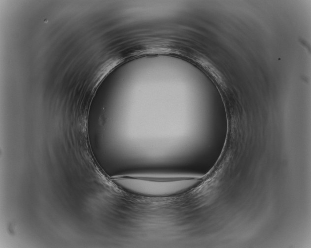 X0000096631193200802191149