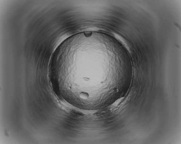 X0000096631194200802191149
