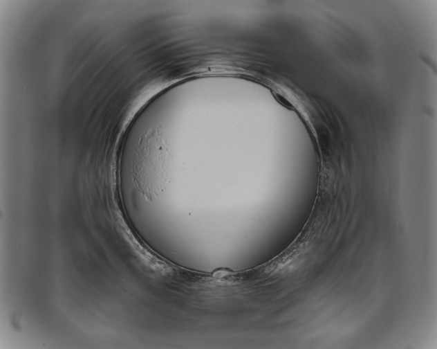 X0000096631195200802191149