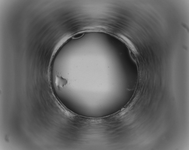 X0000096631196200802191149