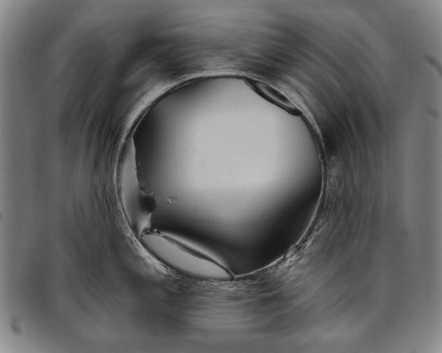 X0000096631197200802191149