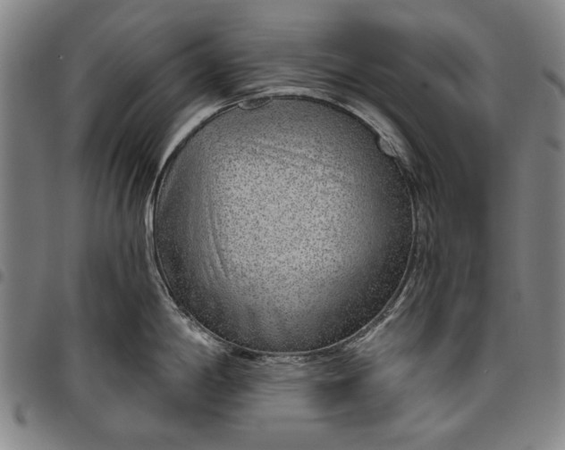 X0000096631198200802191149