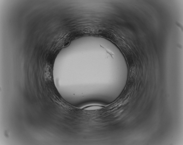 X0000096631202200802191148