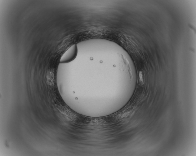 X0000096631203200802191148