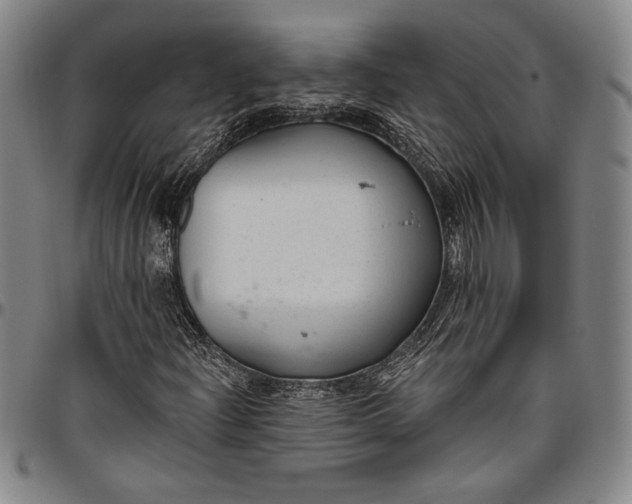 X0000096631204200802191148