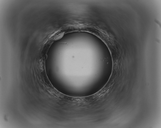 X0000096631205200802191148