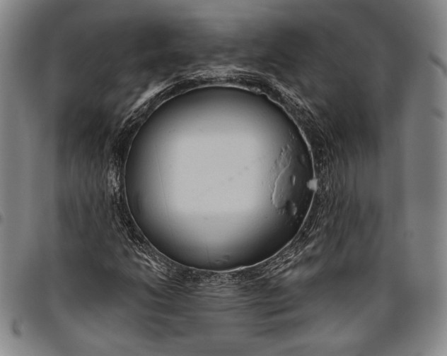 X0000096631206200802191148