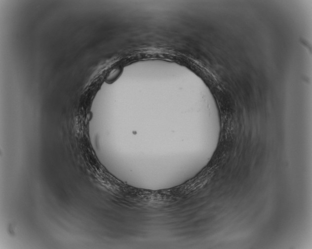 X0000096631207200802191148