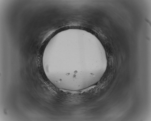 X0000096631208200802191148