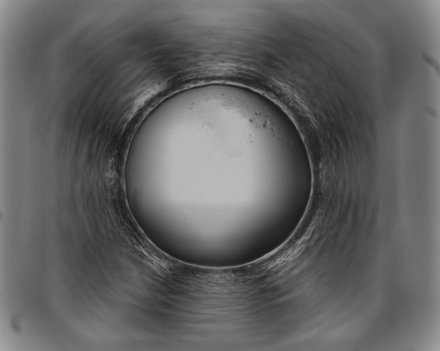 X0000096631210200802191148