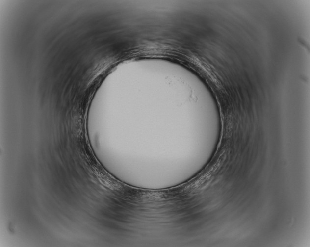 X0000096631211200802191148