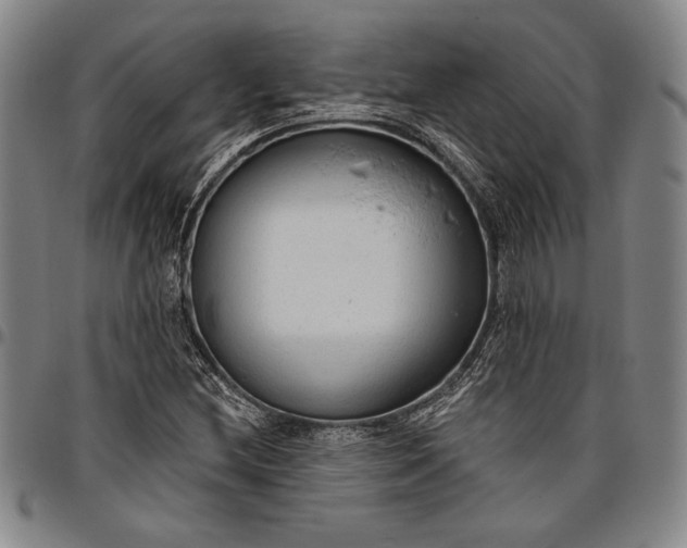 X0000096631212200802191149