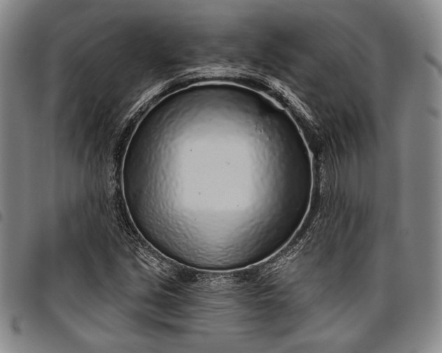 X0000096631213200802191149