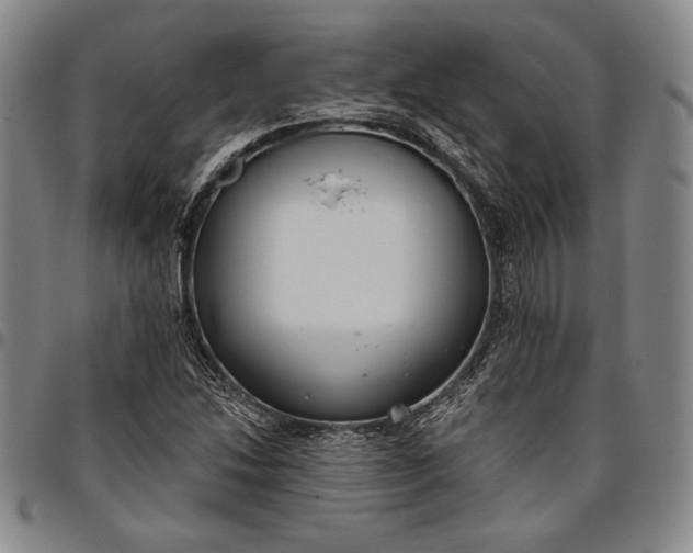X0000096631214200802191149