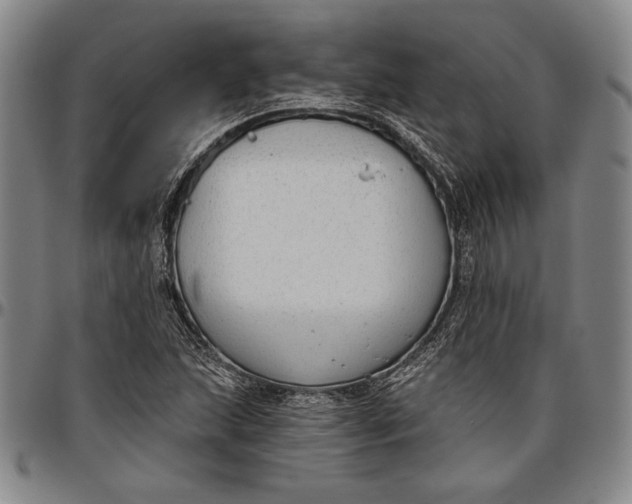 X0000096631215200802191149