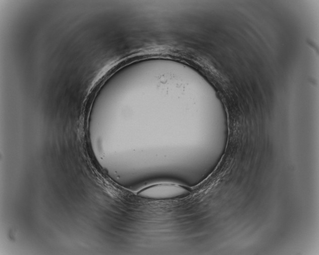 X0000096631216200802191149