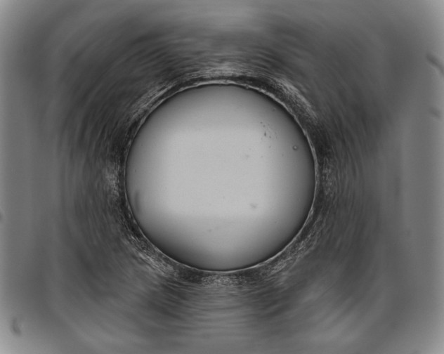 X0000096631217200802191149
