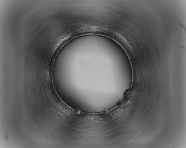 X0000096631218200802191149