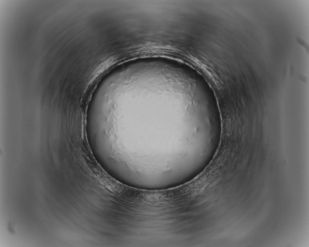 X0000096631219200802191149