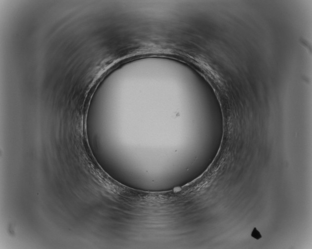 X0000096631220200802191149