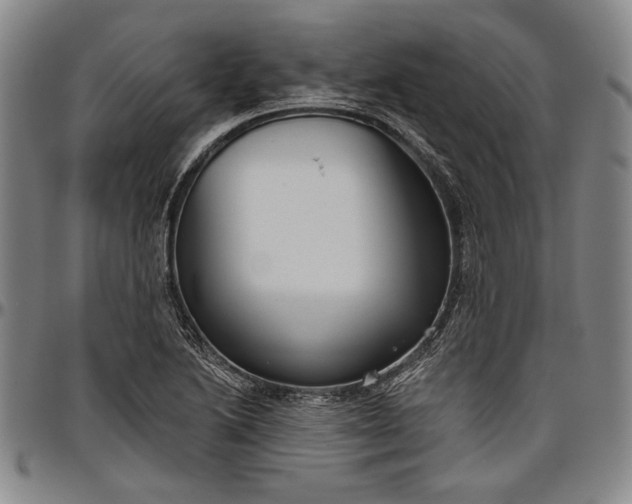X0000096631222200802191149