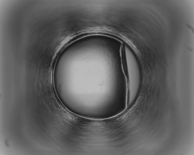 X0000096631224200802191149