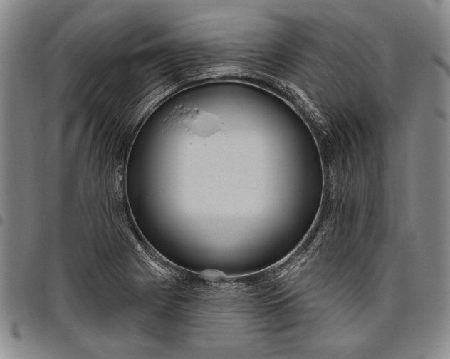 X0000096631225200802191149