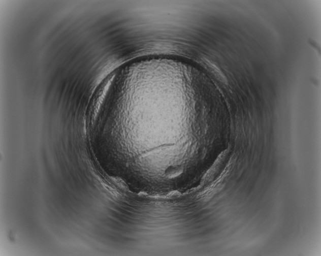 X0000096631226200802191149