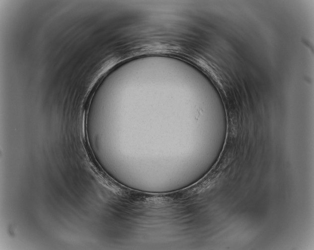 X0000096631227200802191149