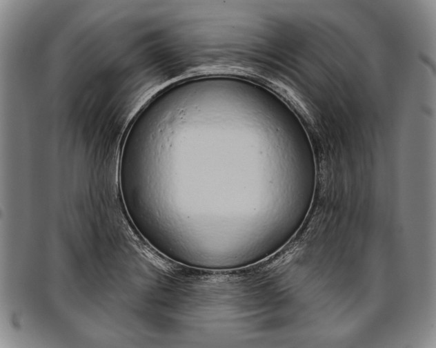 X0000096631228200802191149