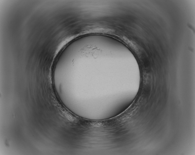 X0000096631230200802191149