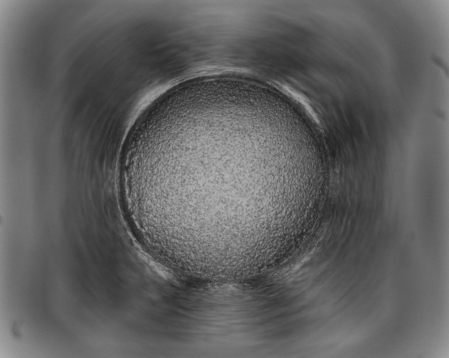 X0000096631231200802191149