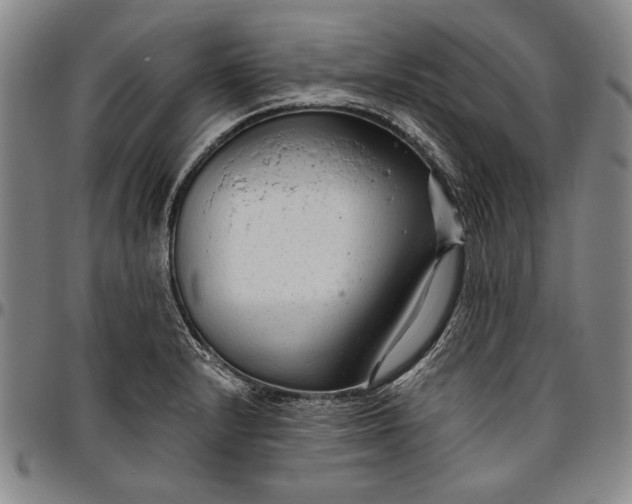 X0000096631232200802191149