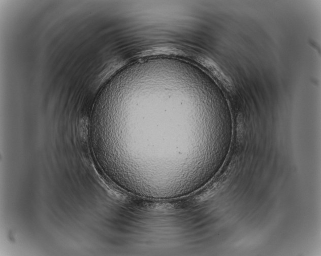 X0000096631233200802191149